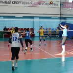 Чемпионат области по волейболу, Фото: 9