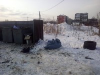 Дворы Анивы уже две недели завалены мусором, Фото: 14
