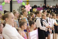 Открытый турнир по эстетической гимнастике прошел в Южно-Сахалинске, Фото: 13