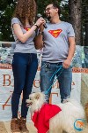 В рамках выставки беспородных собак в Южно-Сахалинске 8 питомцев обрели хозяев, Фото: 113