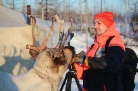 Якутские олени обживаются на севере Сахалина: фоторепортаж из Ногликского района, Фото: 52