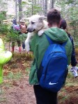 Школьники из Южно-Сахалинска спасли собаку возле останца Лягушка, Фото: 5