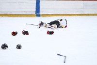 Юные хоккеисты Южно-Сахалинска поборются за Всероссийскую "Золотую шайбу", Фото: 13