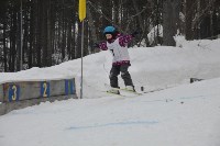 Первенство области по прыжкам на лыжах с трамплина , Фото: 5
