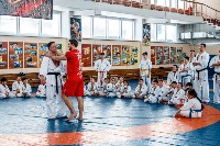 Сахалинские спортсмены стали участниками мастер-классов от мировых звёзд кикбоксинга и киокусинкай, Фото: 4