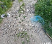 Браконьерство на водоемах Сахалина, Фото: 4