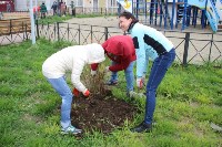 Более 100 цветущих кустарников высадили в Томари, Фото: 14