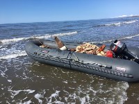 Краба больше чем на 1 млн рублей выловили браконьеры на Сахалине, Фото: 1