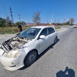 Очевидцев столкновения Isuzu Elf и Toyota Allex ищут в Южно-Сахалинске, Фото: 5