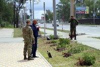 Новая еловая аллея появилась в Южно-Сахалинске, Фото: 2