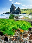 Завораживающие фото подводного мира острова Монерон показали на выставке в Москве, Фото: 6