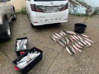 Красную икру и сотни лососей изъяли сотрудники ДПС у двух водителей на Сахалине, Фото: 5