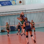 Победителями первенства области по волейболу стали команды ВЦ «Сахалин» и Анивы, Фото: 1