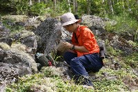 Японские и сахалинские ученые вместе искали вымерших миллионы лет назад моллюсков, Фото: 10