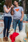 В рамках выставки беспородных собак в Южно-Сахалинске 8 питомцев обрели хозяев, Фото: 34