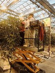 На Сахалине подвели итоги регионального фестиваля школьных медиацентров, Фото: 4