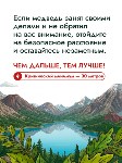 За год на Сахалине медведи выходили к людям более 500 раз, Фото: 3
