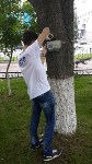 На краснокнижных деревьях в Южно-Сахалинске появились QR-коды, Фото: 2
