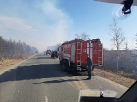 Пал травы перерос в большой природный пожар в окрестностях Березняков, Фото: 11