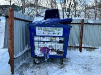 Томаринцам надоели переполненные мусорные баки, Фото: 6