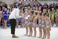 Около 200 юных гимнасток выступили в Новоалександровске, Фото: 9