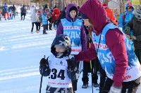 Первые соревнования по лыжным гонкам зимнего сезона прошли в Южно-Сахалинске, Фото: 18