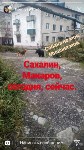 По центру Макарова бродит медведь , Фото: 3