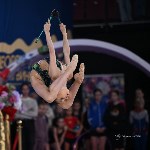 Сахалинка завоевала семь медалей первенства России по художественной гимнастике, Фото: 1