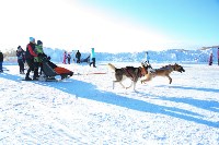 Сотня сахалинцев устроила лыжный забег в рамках «Декады спорта-2021», Фото: 29