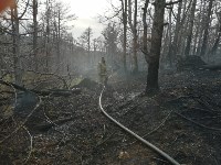 Пожар у села Новоселово, Фото: 5