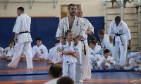 Трёхкратный чемпион мира по каратэ-киокусинкай провёл мастер-класс для юных сахалинцев, Фото: 8