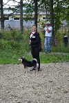 В рамках выставки беспородных собак в Южно-Сахалинске 8 питомцев обрели хозяев, Фото: 68