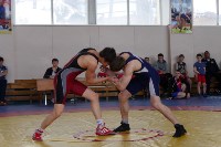 Соревнования по греко-римской борьбе за «Кубок Победы» в областном центре, Фото: 4
