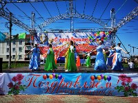 Красногорцы отпраздновали день села, Фото: 8