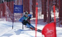 Соревнования по горнолыжному спорту стартовали в Южно-Сахалинске , Фото: 13