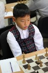 В мужском чемпионате Сахалинской области приняли участие 25 шахматистов, Фото: 13