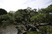 Национальный парк Shinjuku Gyoen, Фото: 7