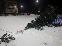 В Новотроицком упала ёлка, Фото: 2