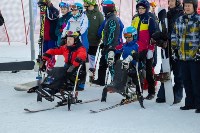 Чемпионаты по горнолыжному спорту и сноуборду среди параспортсменов , Фото: 15