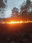 Пожар в лесу в Анивском районе, Фото: 6