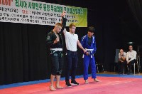 В Южно-Сахалинске выступили корейские мастера хапкидо, Фото: 25