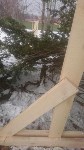Краснокнижные тисы в городском парке Южно-Сахалинска оказались под угрозой, Фото: 4