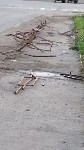 Неизвестные сломали забор детского сада в Чехове, Фото: 3