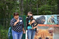 В рамках выставки беспородных собак в Южно-Сахалинске 8 питомцев обрели хозяев, Фото: 253