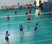 Открытое первенство ВЦ «Сахалин» по волейболу «Весенняя капель», Фото: 9