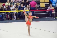 Юные сахалинские гимнастки поучаствовали в соревнованиях "Хрустальный лед", Фото: 11