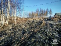 Более 20 гектаров выгорело: с начала года в Сахалинской области потушили 41 пал травы, Фото: 2