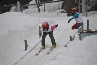 Первенство области по прыжкам на лыжах с трамплина , Фото: 15