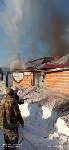 В СНТ "Солнышко" из огня спасли четыре кошки и одну собаку, Фото: 9