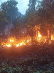 Пожар в лесу в Анивском районе, Фото: 1